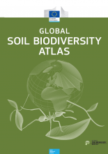 Global Soil Biodiversity Atlas 